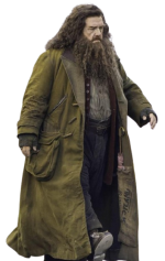 Nick Frost Harry Potter Rubeus Hagrid Coat - Image 2